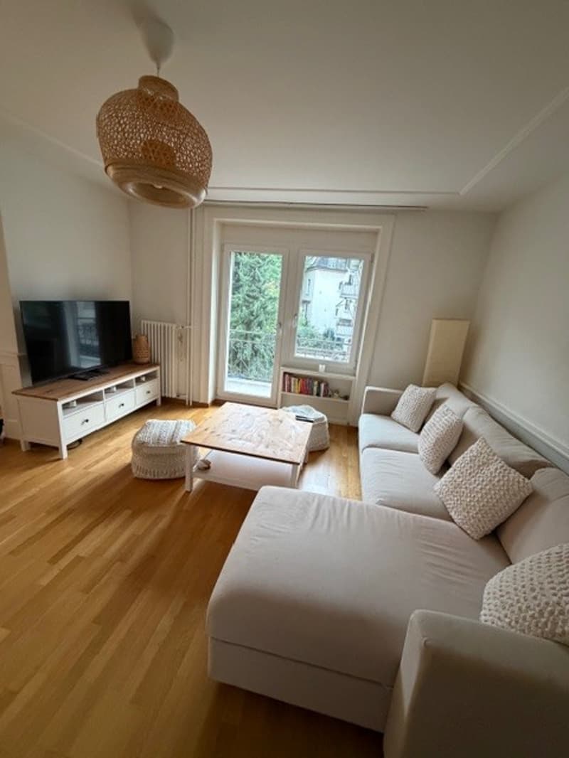 2 ½ rooms apartment, 8002 Zurich (4)