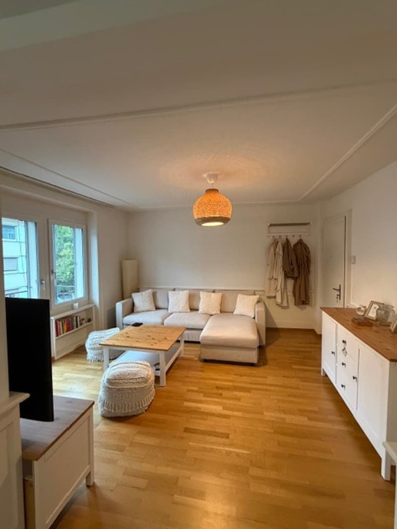 2 ½ rooms apartment, 8002 Zurich (3)