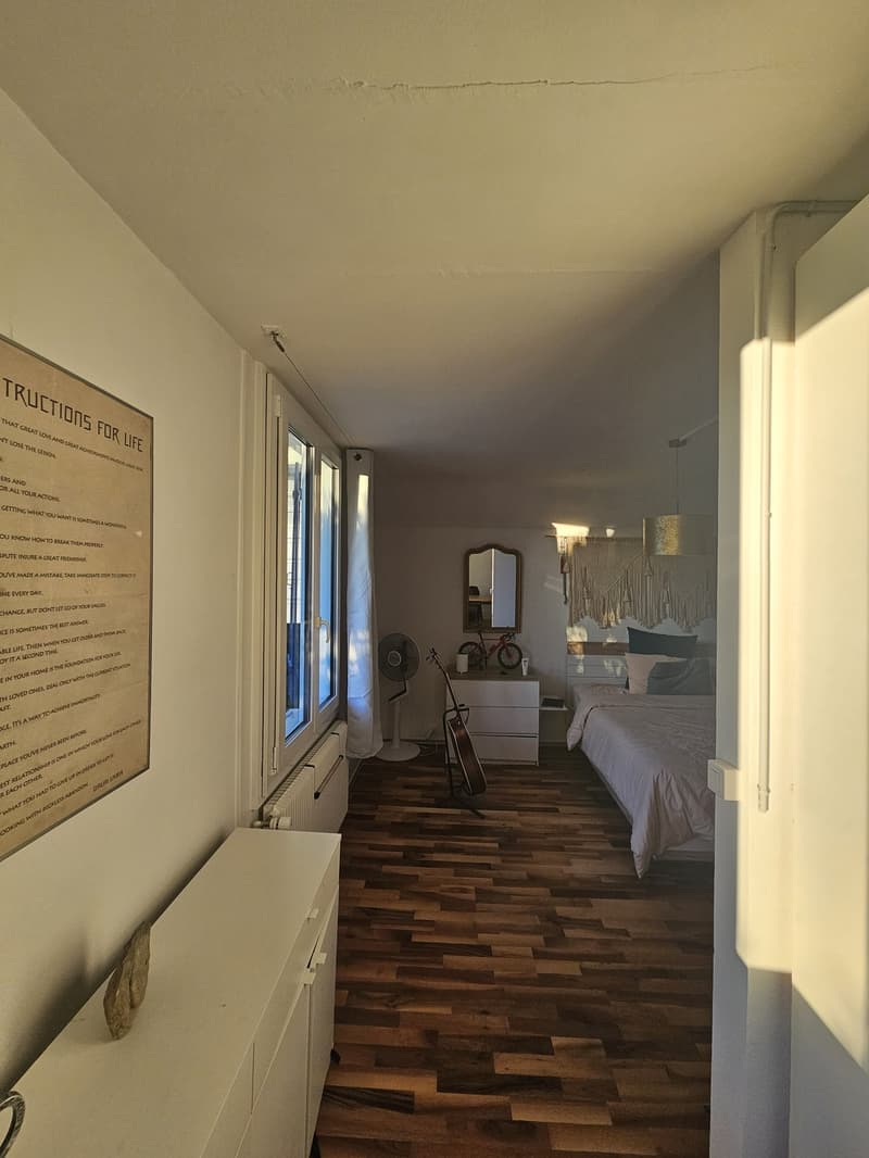 Bright two-room space in a big house with garden, fireplace for a couple or someone who loves space (4)