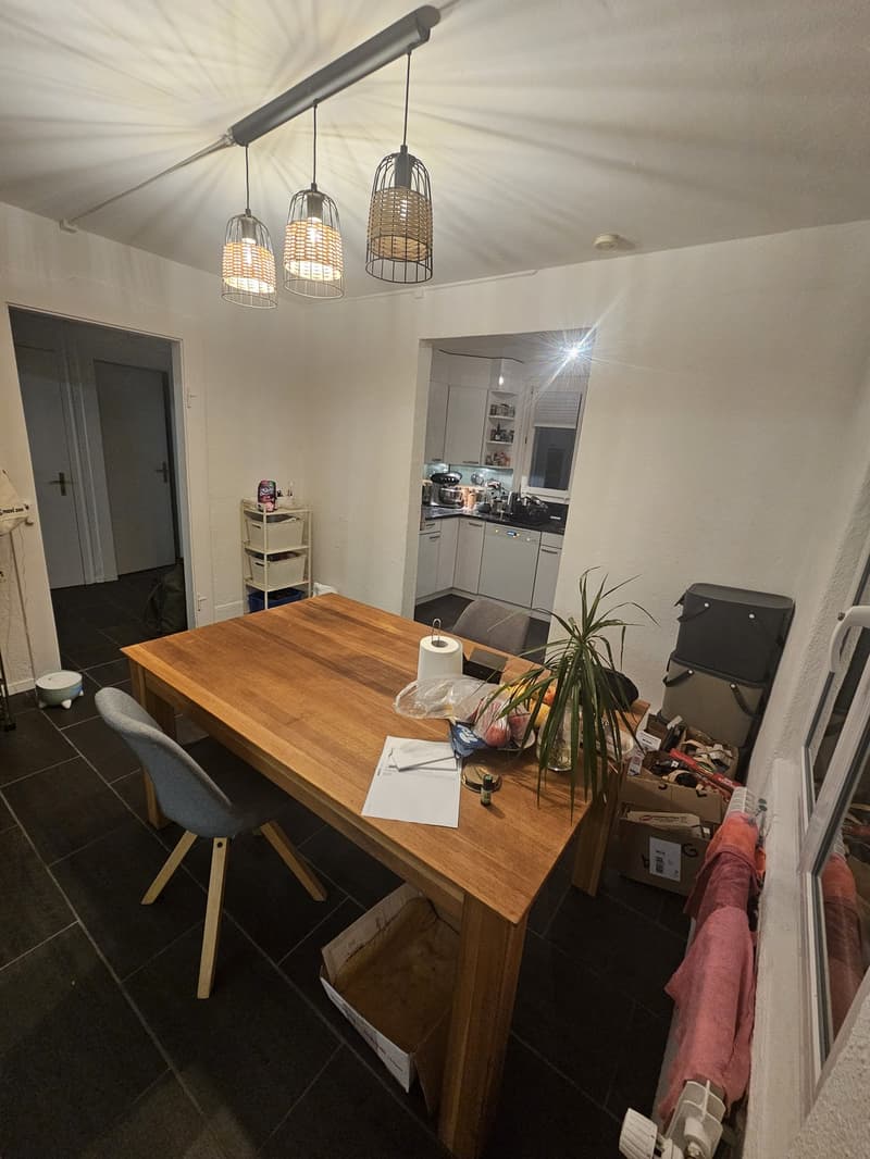 Bright two-room space in a big house with garden, fireplace for a couple or someone who loves space (7)