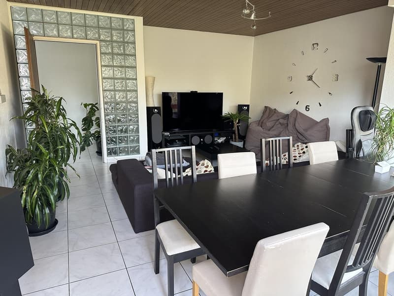 Room in 5.5 flat / Wollishofen (Kreis 2) / 1300 CHF / December 1st (or earlier in the guest room) / short or long term contract (3)