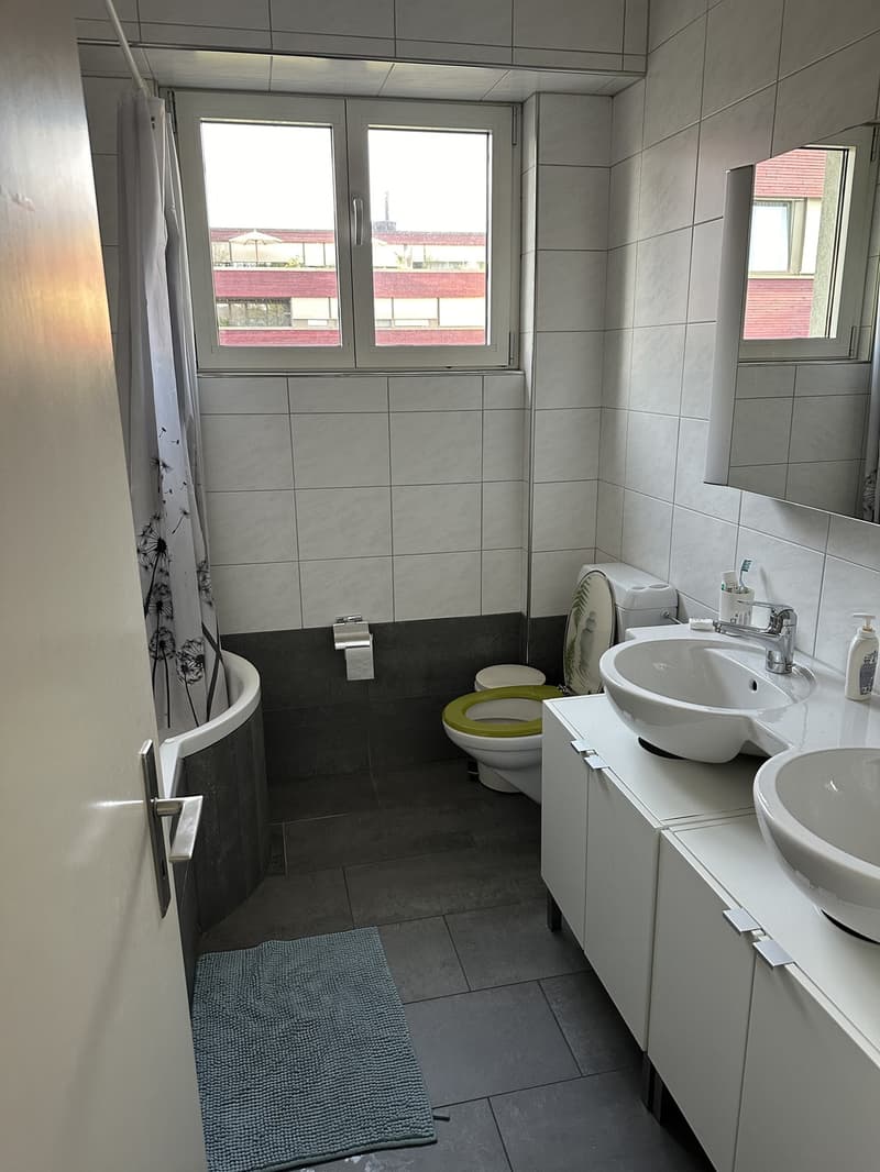 Room in 5.5 flat / Wollishofen (Kreis 2) / 1300 CHF / December 1st (or earlier in the guest room) / short or long term contract (8)