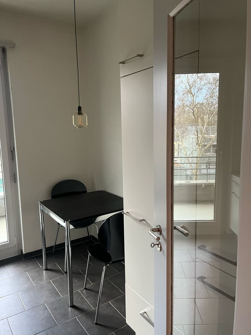 Beautiful fully furnished 1.5-room apartment in Zurich Wiedikon (9)