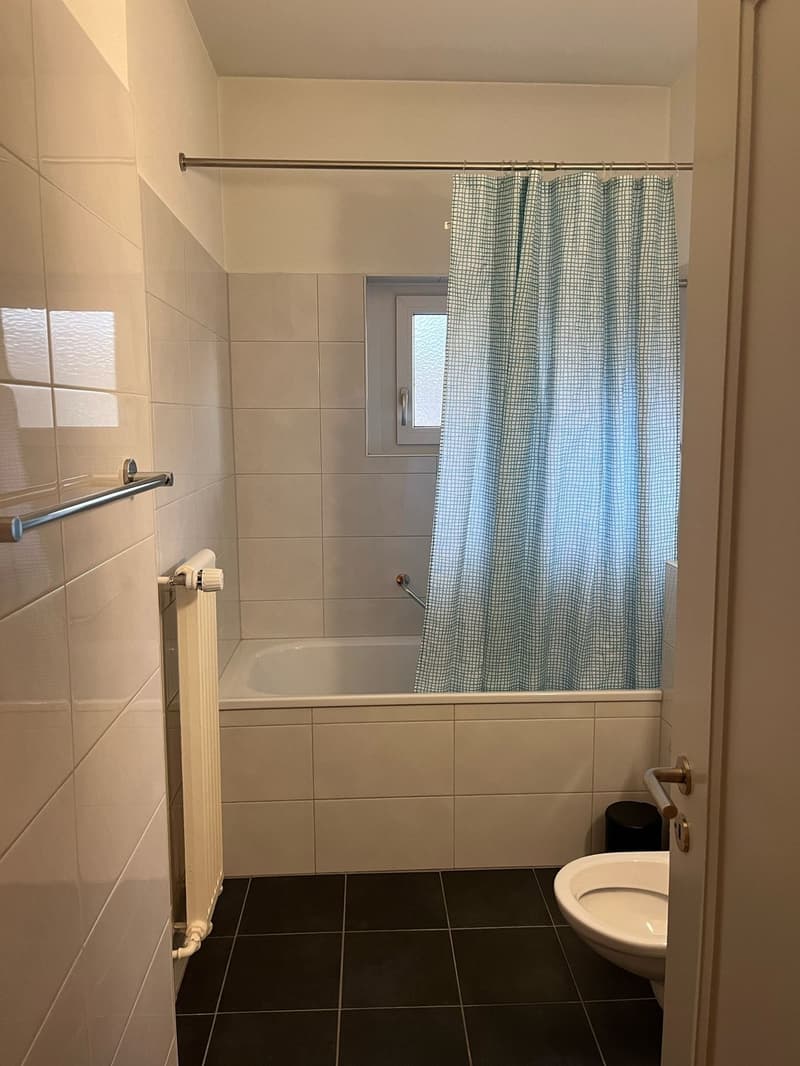 Beautiful fully furnished 1.5-room apartment in Zurich Wiedikon (8)