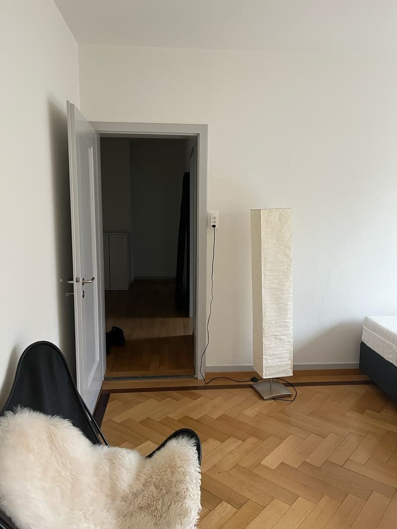 Beautiful fully furnished 1.5-room apartment in Zurich Wiedikon (3)