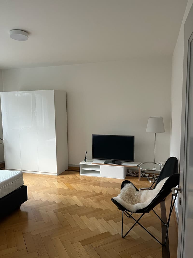 Beautiful fully furnished 1.5-room apartment in Zurich Wiedikon (2)