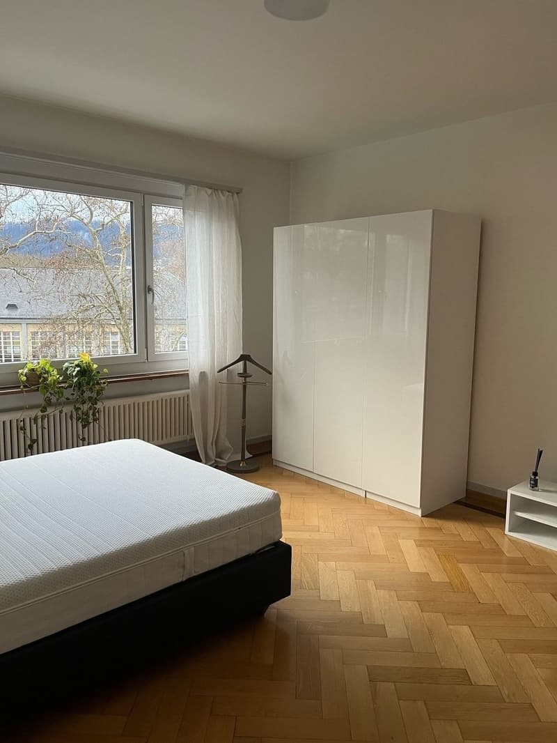 Beautiful fully furnished 1.5-room apartment in Zurich Wiedikon (1)