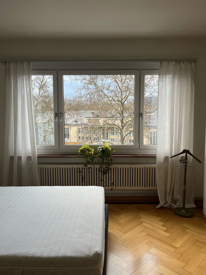 Beautiful fully furnished 1.5-room apartment in Zurich Wiedikon (10)