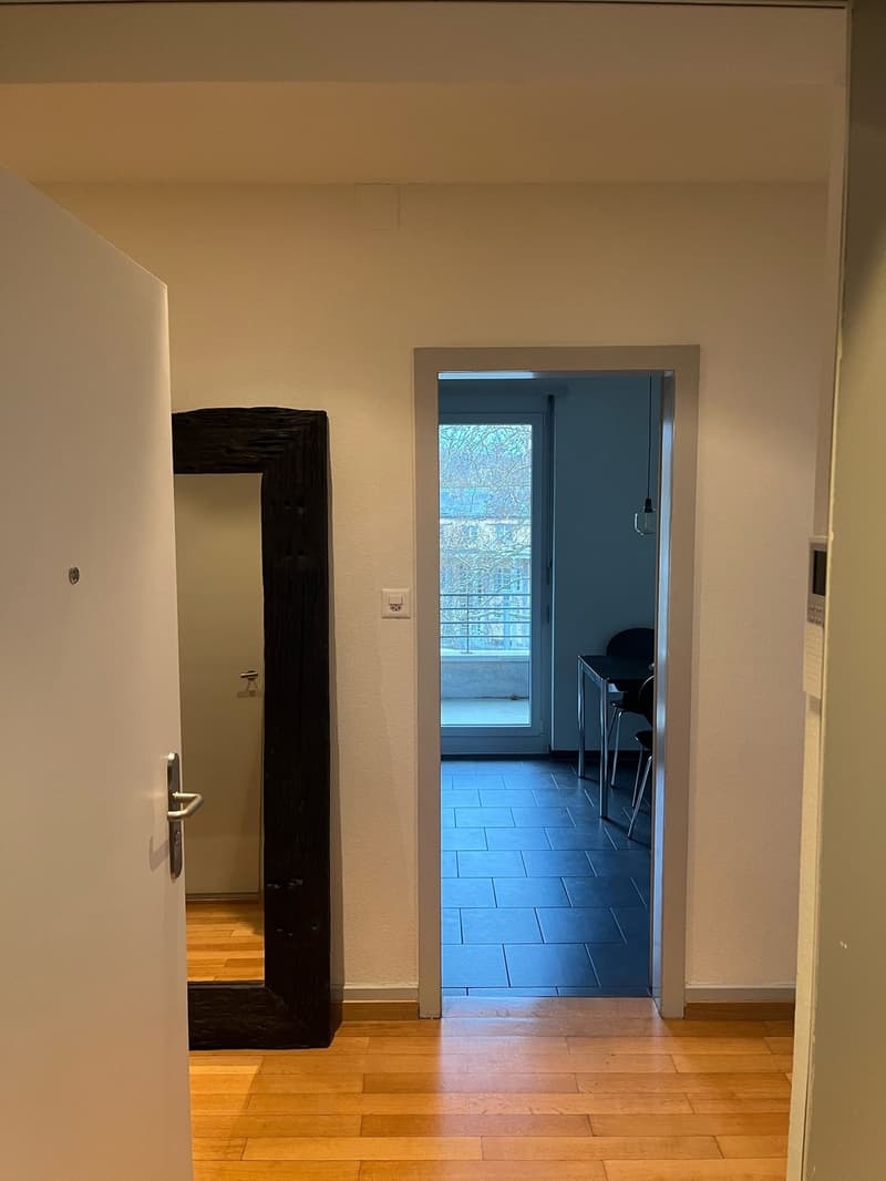 Beautiful fully furnished 1.5-room apartment in Zurich Wiedikon (4)