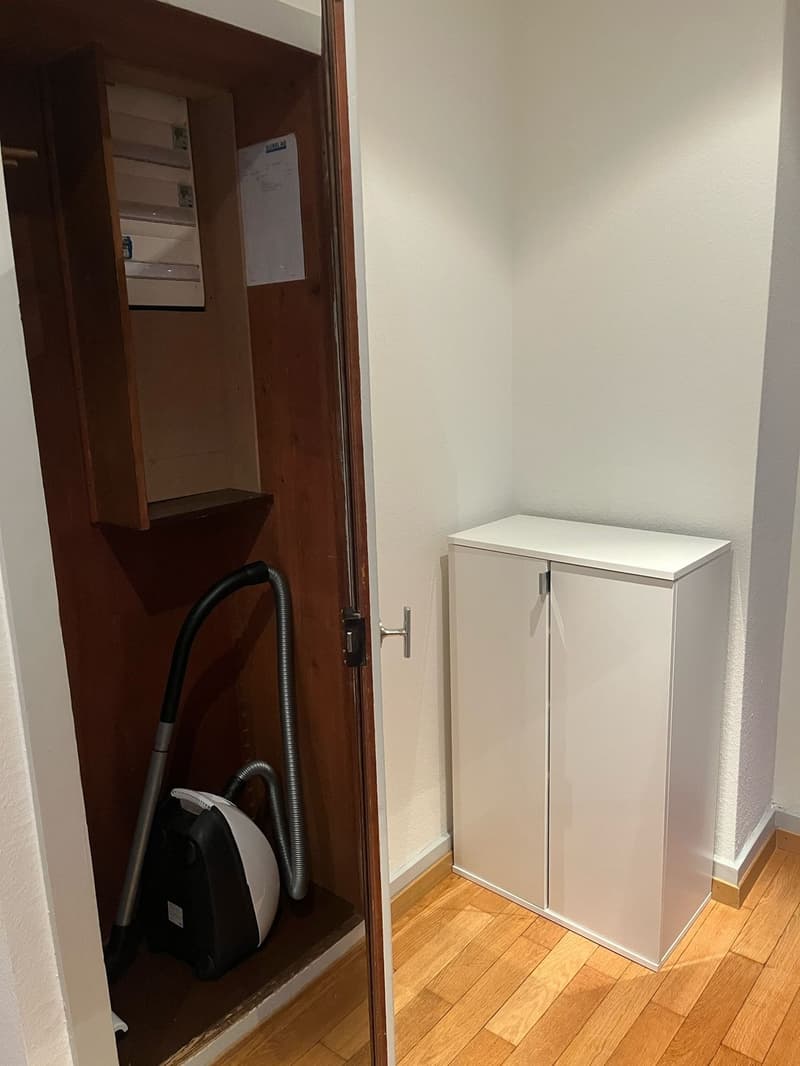 Beautiful fully furnished 1.5-room apartment in Zurich Wiedikon (11)