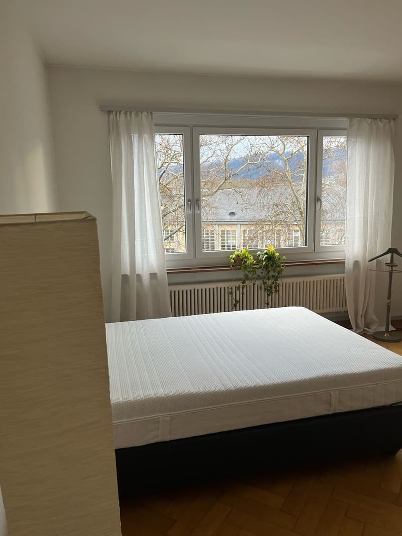 Beautiful fully furnished 1.5-room apartment in Zurich Wiedikon (6)