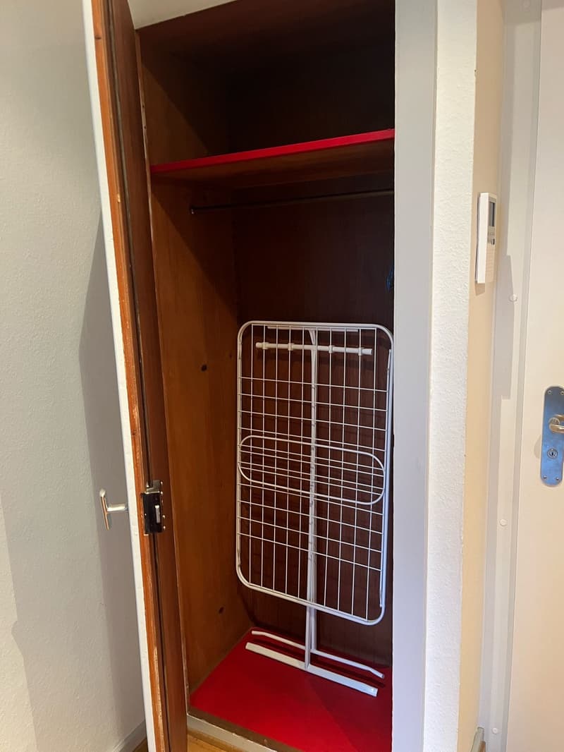 Beautiful fully furnished 1.5-room apartment in Zurich Wiedikon (7)
