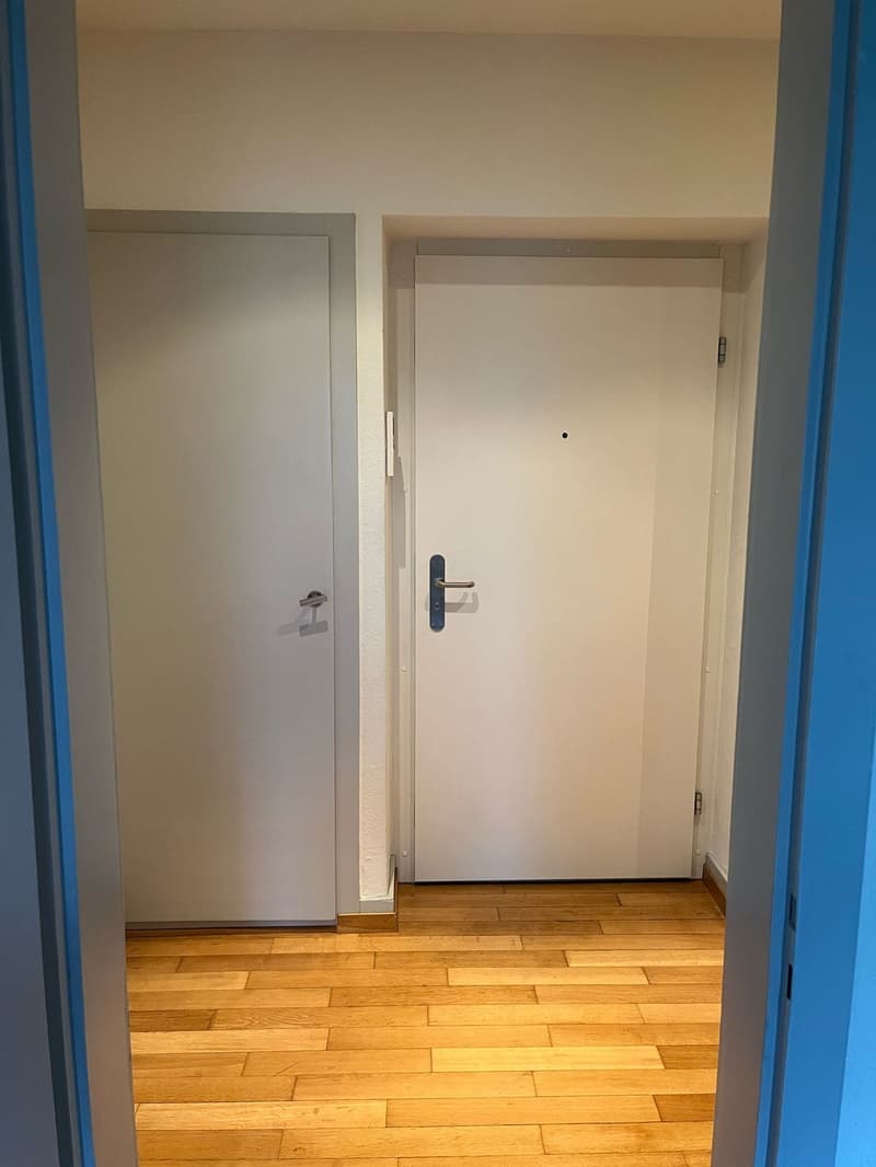 Beautiful fully furnished 1.5-room apartment in Zurich Wiedikon (13)