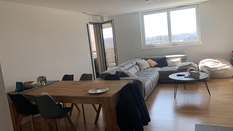 Magnifique appartement de 3,5 pièces (4)