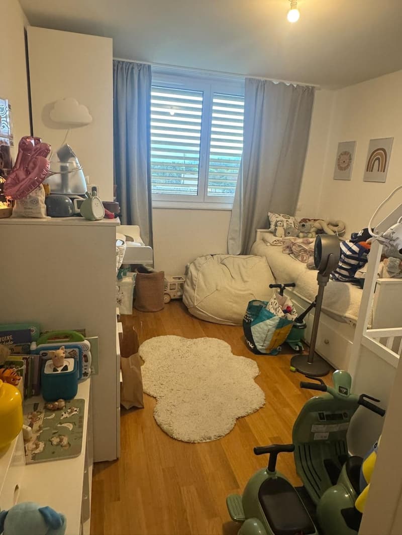 Magnifique appartement de 3,5 pièces (3)