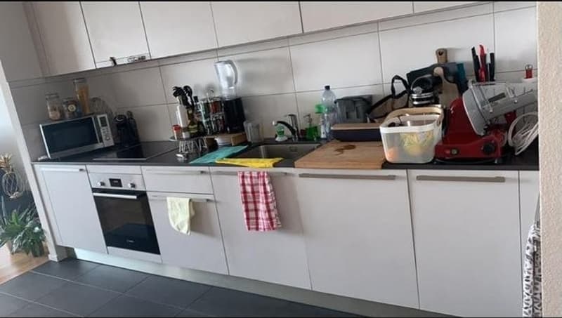 Magnifique appartement de 3,5 pièces (1)