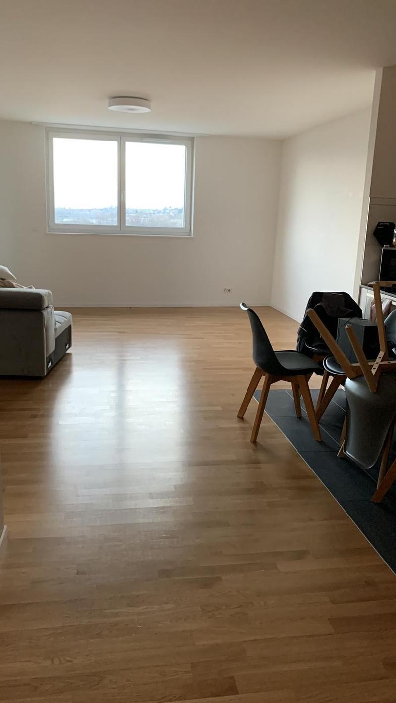 Magnifique appartement de 3,5 pièces (2)