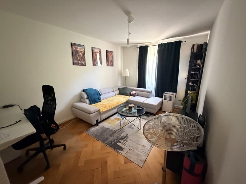 Appartement 2 pièces, 1006 Lausanne (5)
