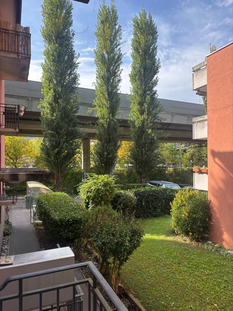 3 Zimmer-Wohnung, 8002 Zürich (6)