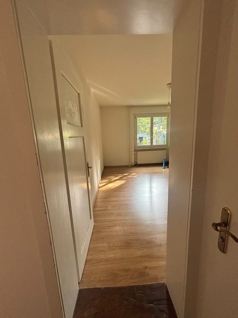 3 Zimmer-Wohnung, 8002 Zürich (9)