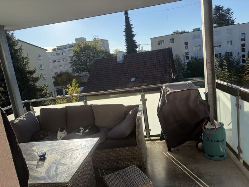 2-Zimmer-Wohnung mit grossem Balkon und schöner Aussicht in Effretikon (3)