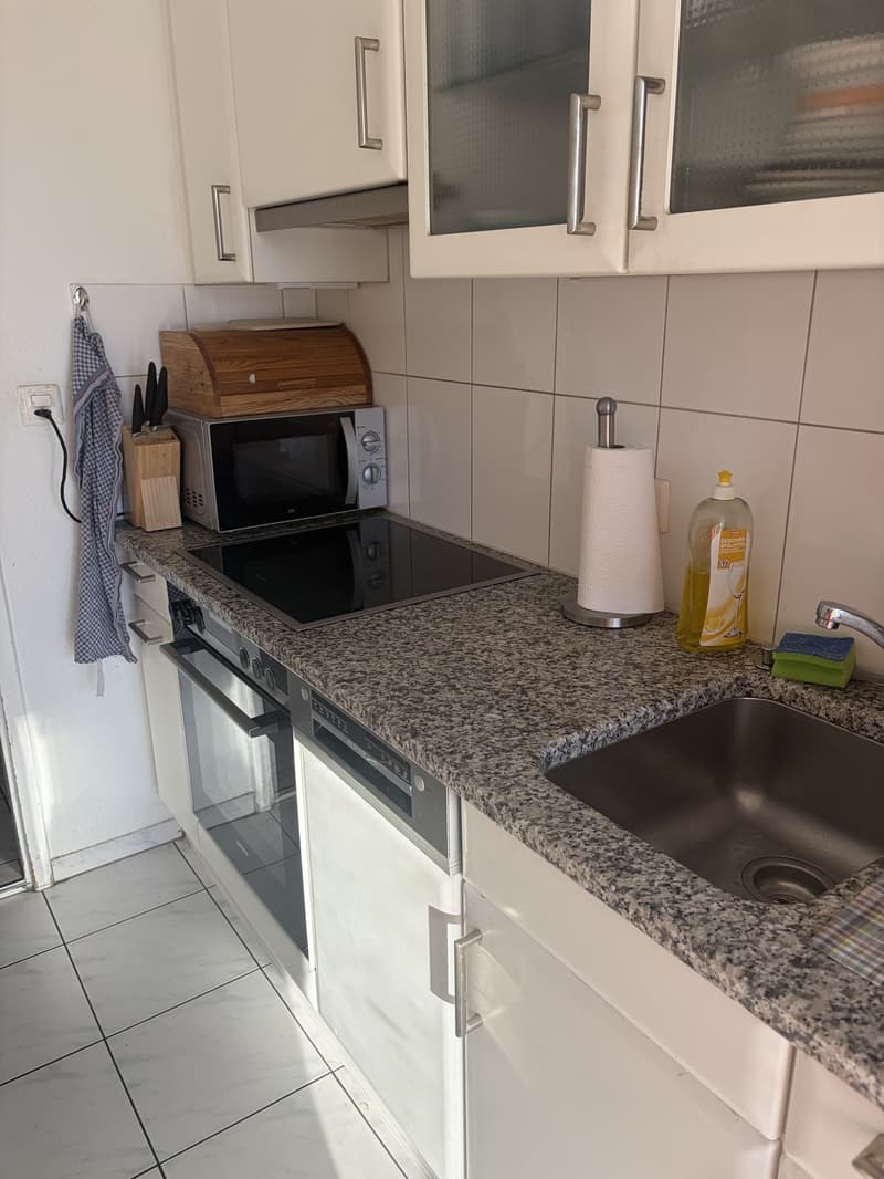 2-Zimmer-Wohnung mit grossem Balkon und schöner Aussicht in Effretikon (5)