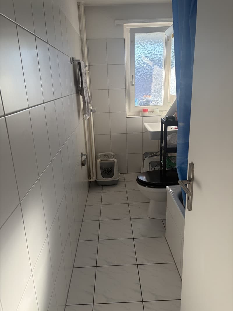 2-Zimmer-Wohnung mit grossem Balkon und schöner Aussicht in Effretikon (2)
