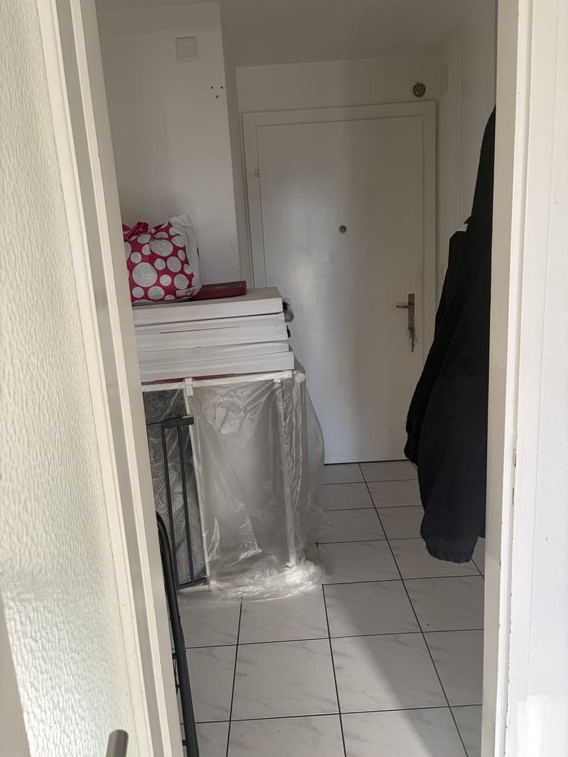 2-Zimmer-Wohnung mit grossem Balkon und schöner Aussicht in Effretikon (8)