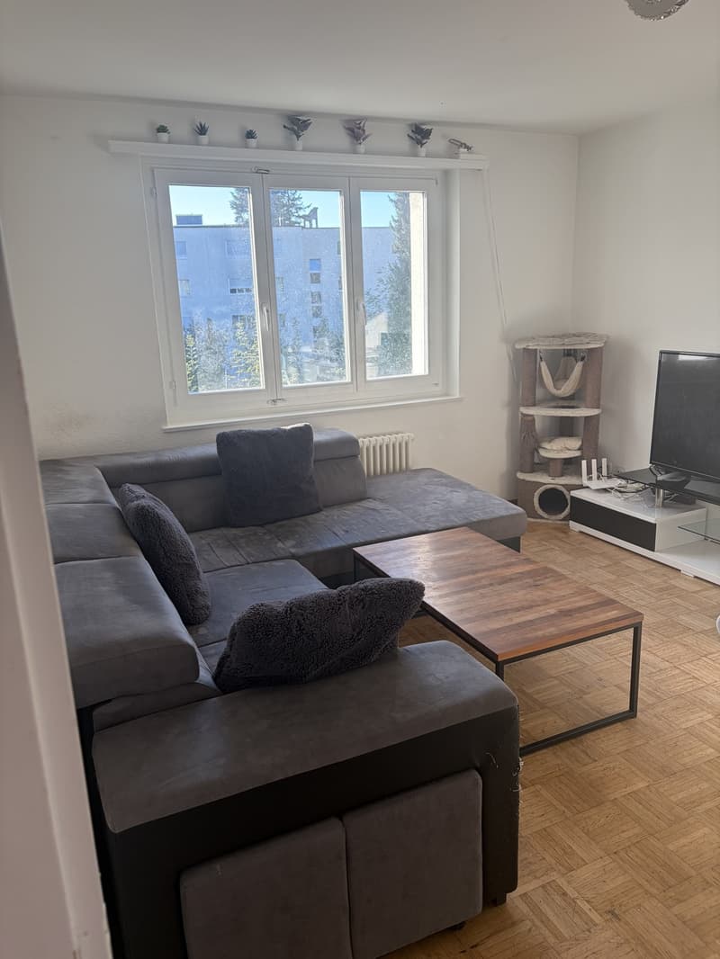 2-Zimmer-Wohnung mit grossem Balkon und schöner Aussicht in Effretikon (1)
