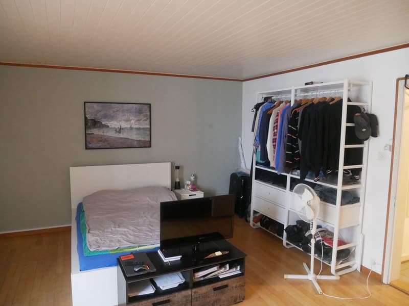 WG-Zimmer in der Steinenvorstadt (2)