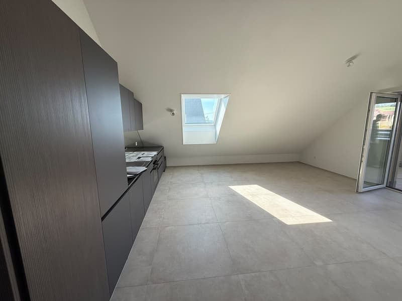 W8 2.5 Zimmer Wohnung, 2.OG, Dottikon (2)