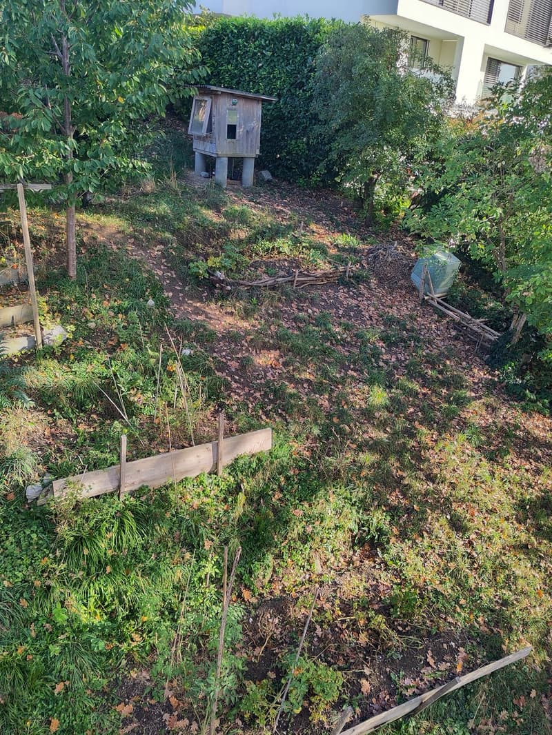 WG-Zimmer in Kilchberg (5)