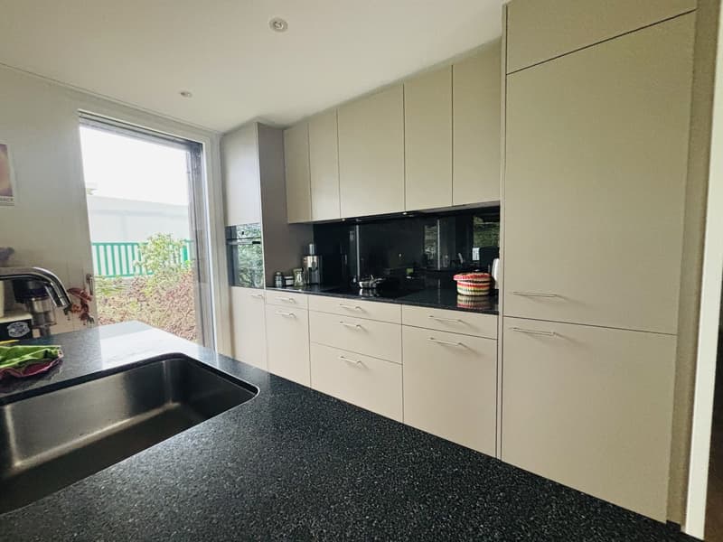 BEAUTIFUL MODERN SPACIOUS ZEN WG (3)