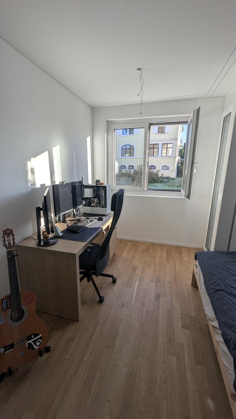 Bright 1.5-Room Apartment in Rebstein CHF 890/month incl. Charges (9)