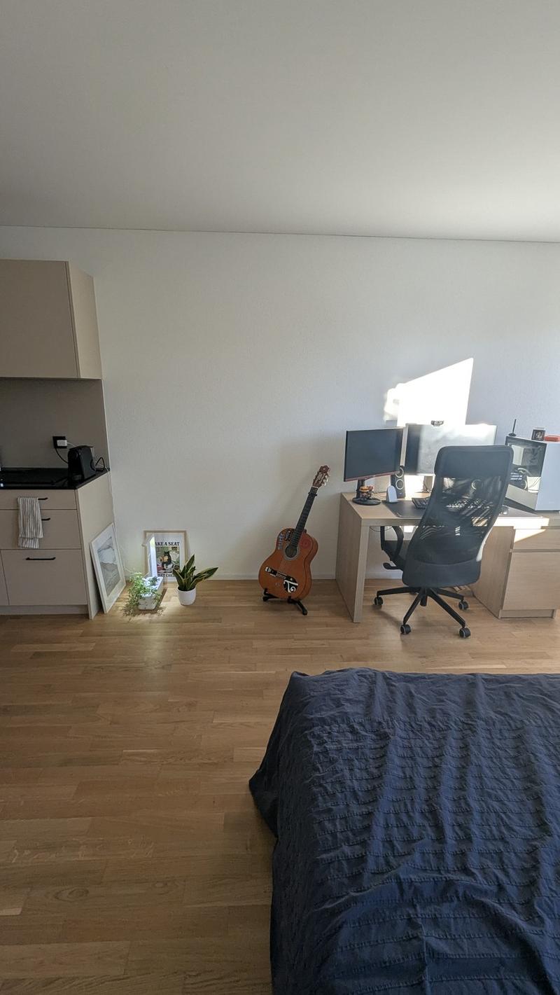 Bright 1.5-Room Apartment in Rebstein CHF 890/month incl. Charges (6)