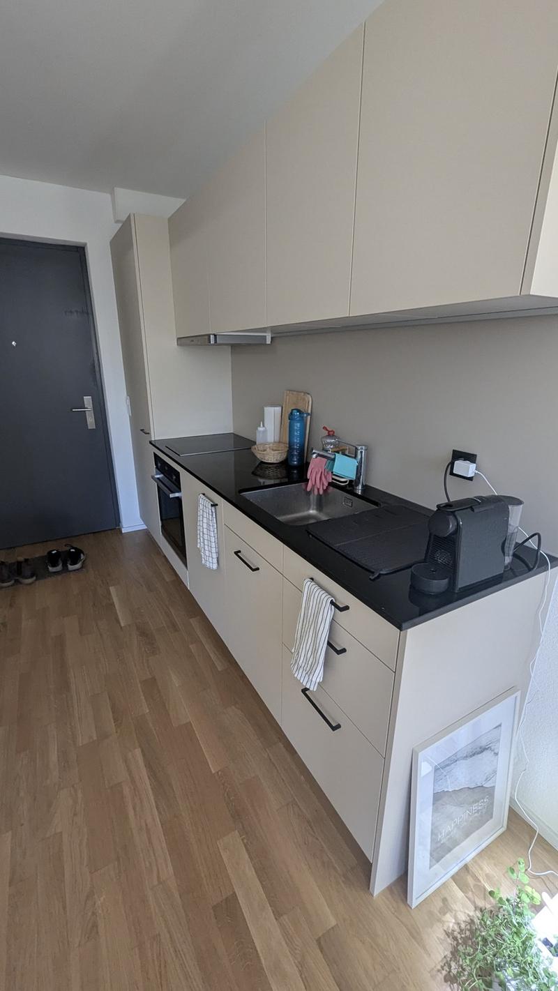 Bright 1.5-Room Apartment in Rebstein CHF 890/month incl. Charges (11)