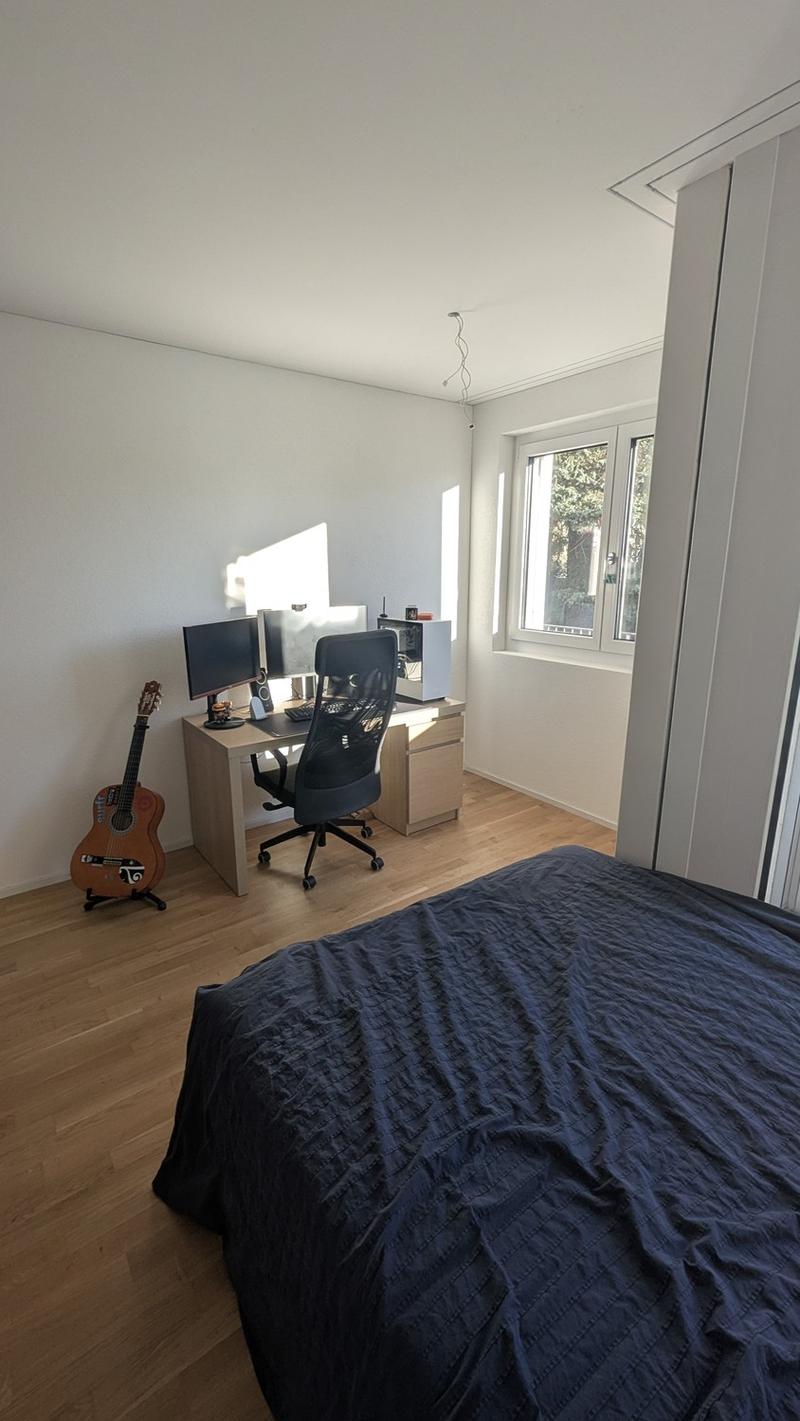 Bright 1.5-Room Apartment in Rebstein CHF 890/month incl. Charges (2)
