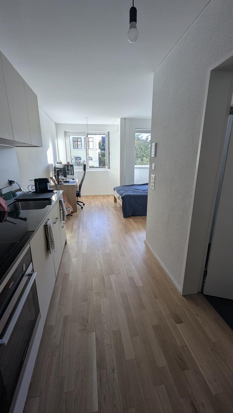 Bright 1.5-Room Apartment in Rebstein CHF 890/month incl. Charges (1)