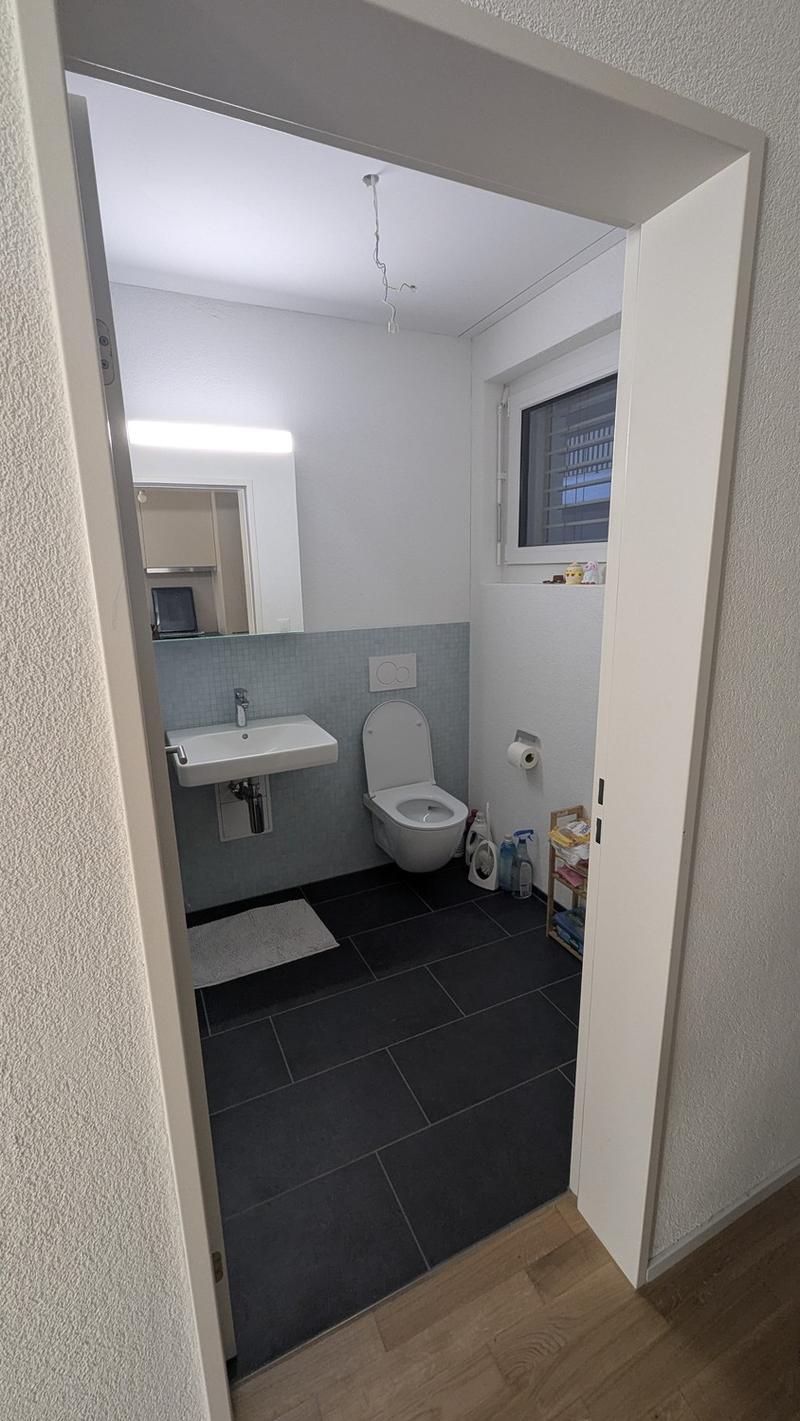 Bright 1.5-Room Apartment in Rebstein CHF 890/month incl. Charges (5)