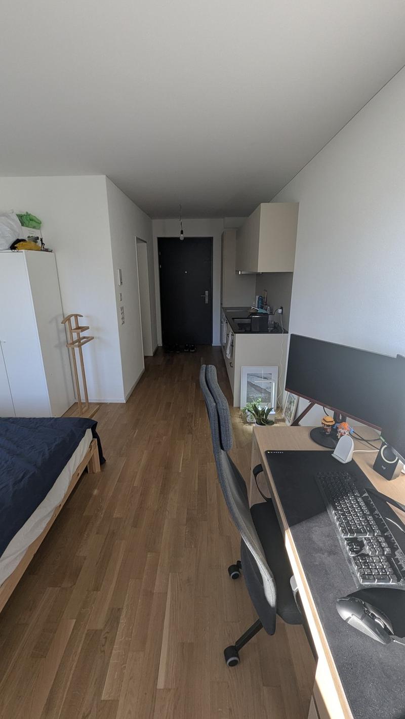 Bright 1.5-Room Apartment in Rebstein CHF 890/month incl. Charges (4)