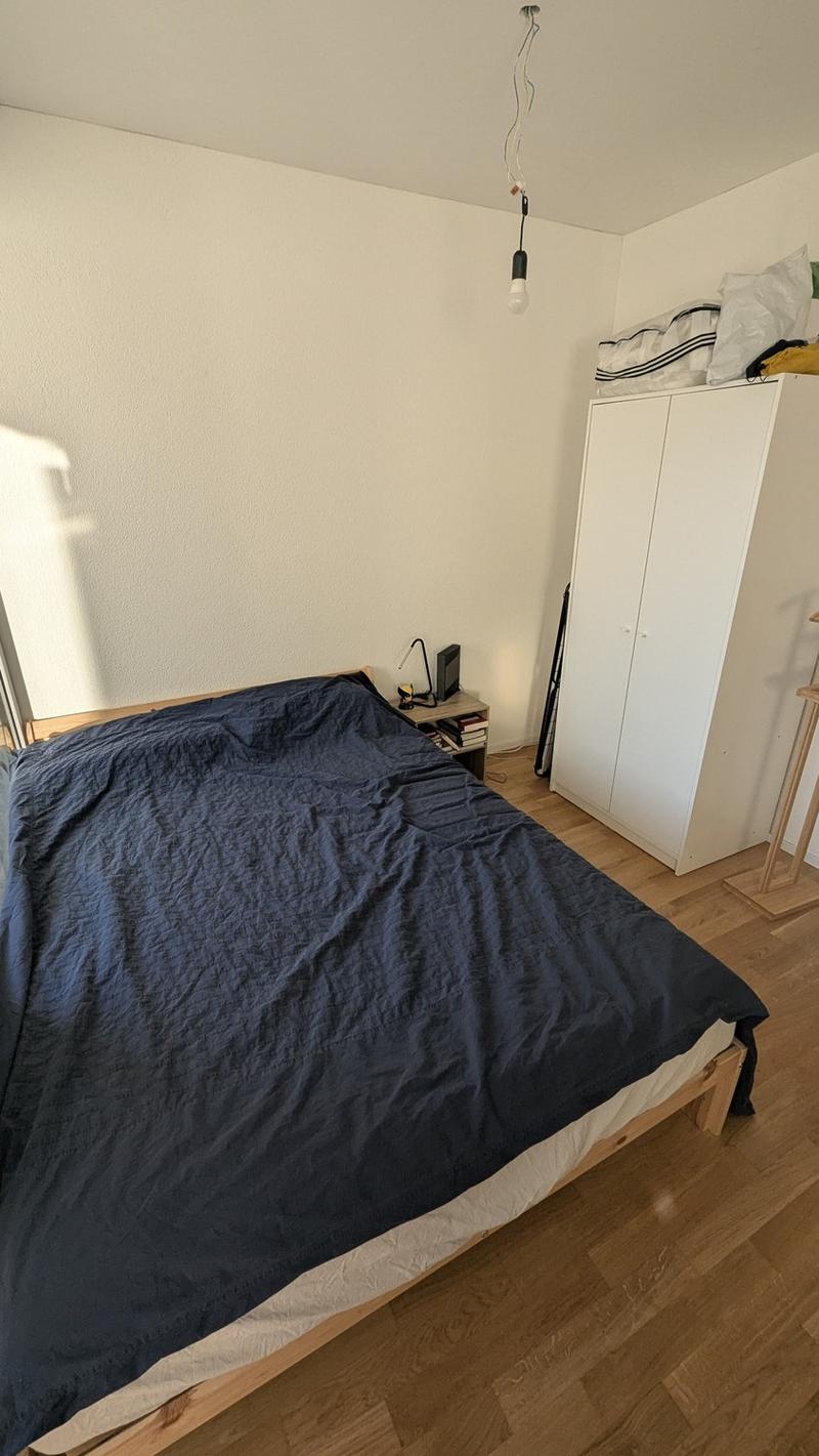Bright 1.5-Room Apartment in Rebstein CHF 890/month incl. Charges (10)