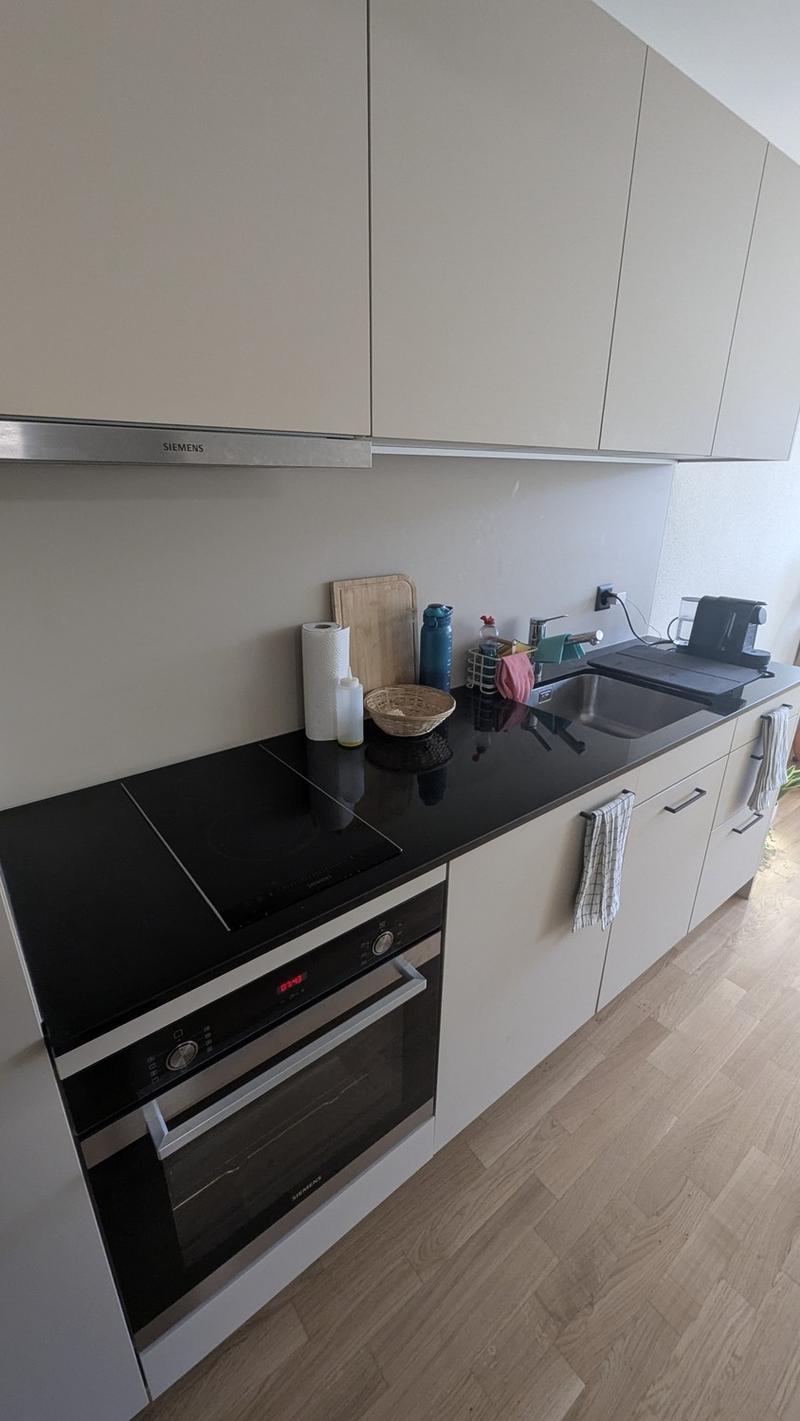 Bright 1.5-Room Apartment in Rebstein CHF 890/month incl. Charges (3)