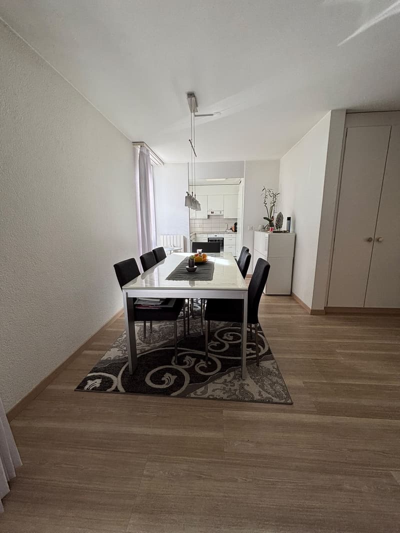 Wohnung in Adliswil (Kanton Zürich) (10)