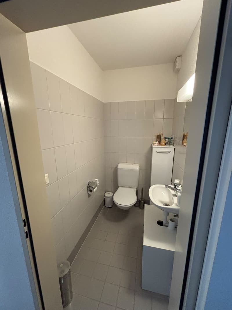 Wohnung in Adliswil (Kanton Zürich) (4)