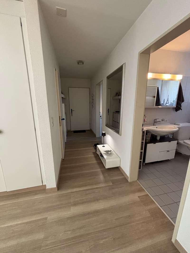 Wohnung in Adliswil (Kanton Zürich) (12)