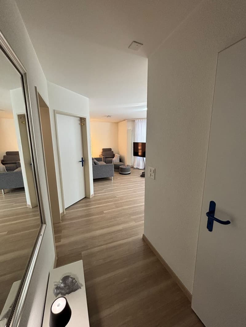 Wohnung in Adliswil (Kanton Zürich) (13)