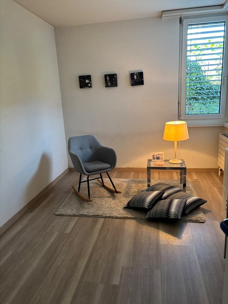 Wohnung in Adliswil (Kanton Zürich) (1)