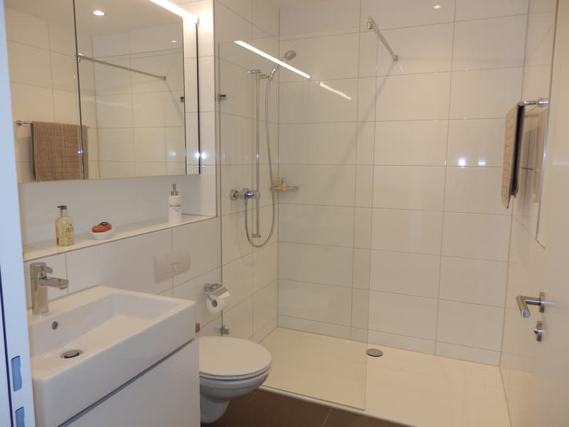 Nachmieter gesucht. Moderne Neubauwohnung im Zentrum von Gränichen. (4)