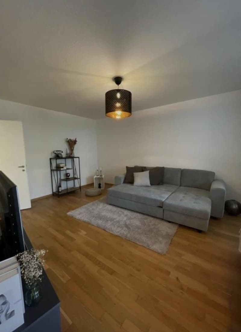 WG Zimmer, 8048 Zürich (3)