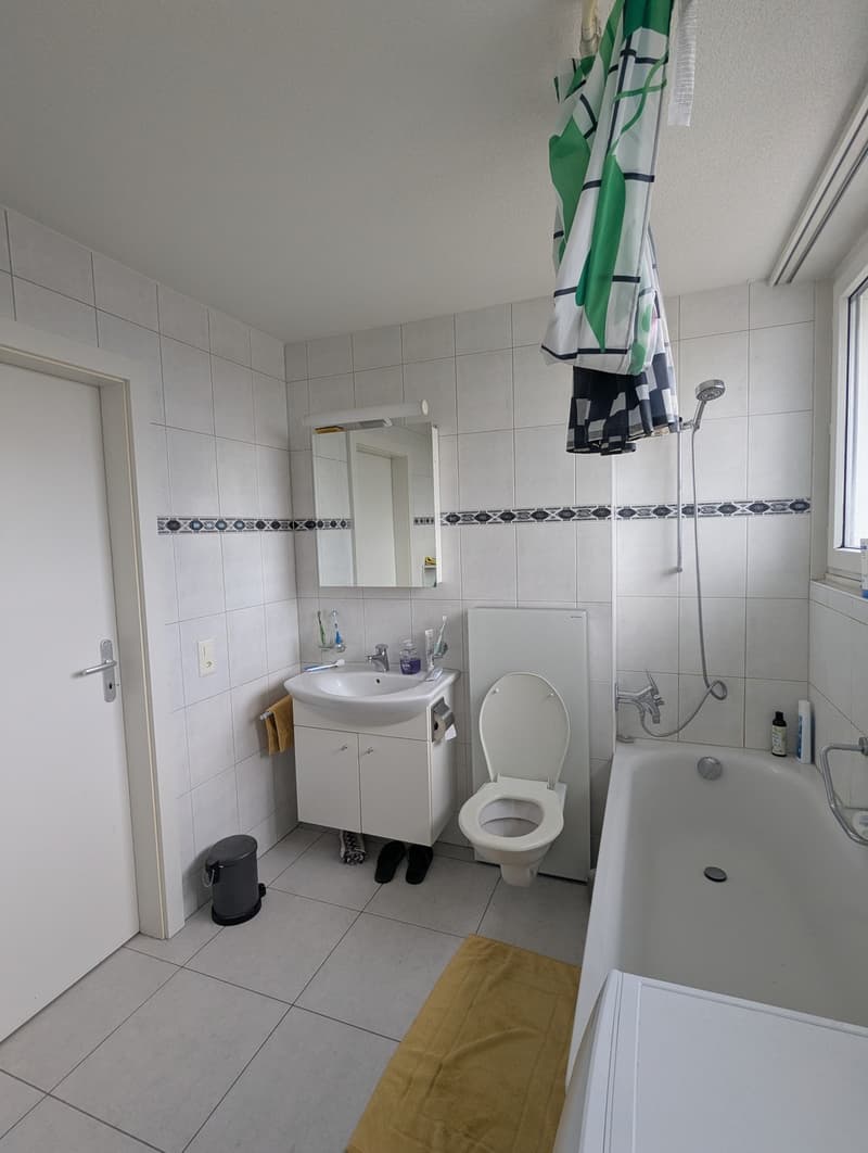 4 1/2 Zimmer-Wohnung (8)